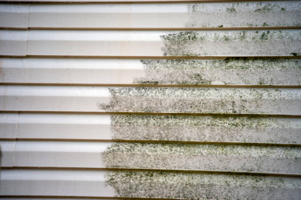 Best Fiber Cement Siding Installation  in Woodville, OH