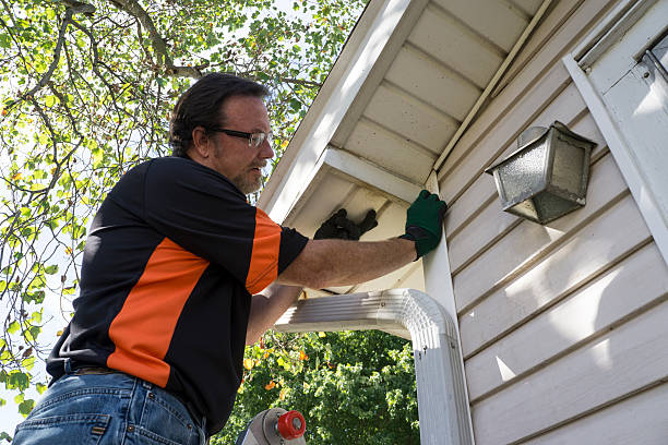Best Wood Siding Installation  in Woodville, OH